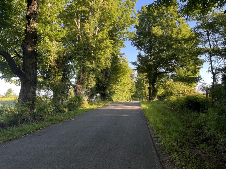 7 acres Rual Land for Sale Russell, NY!