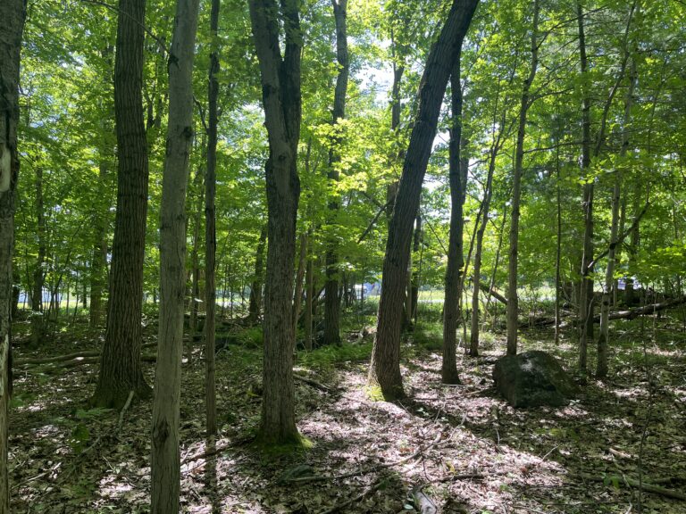 1 acre Village Building Lot Lyons Falls, NY