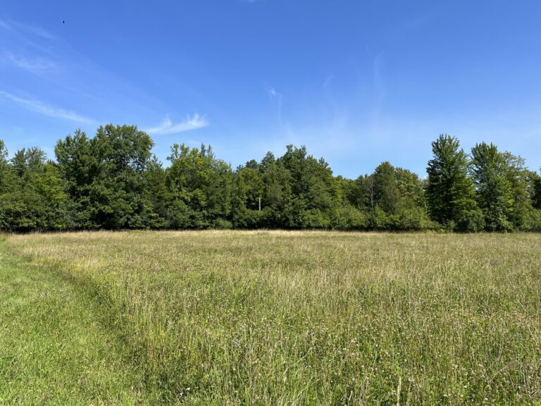 5 acre Scenic Building Lot Near Downtown Potsdam NY