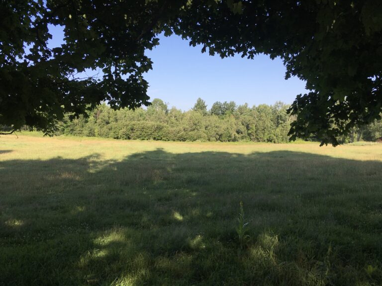 8 acre Building Lot with Utilities Available Russell NY