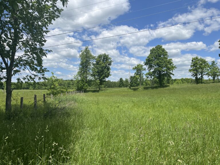 5 acre Building Lot Near Village of Potsdam NY