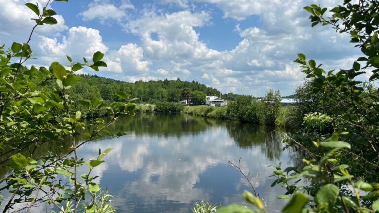 42 acre Riverfront Adirondack Homestead Clare NY