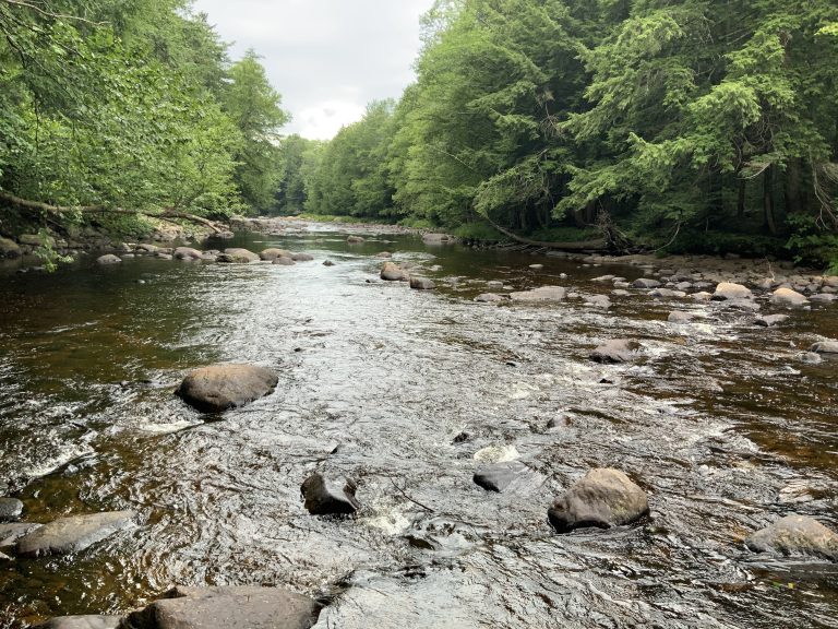 82 acre Adirondack Creek Front Woodlands Stratford NY