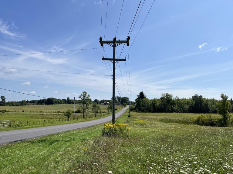 5 acre Surveyed Recreational Land for Sale, Potsdam, NY!