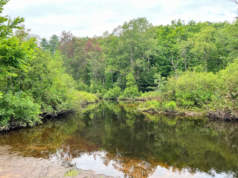 10 acre Creek Front Building Lot Pitcairn NY
