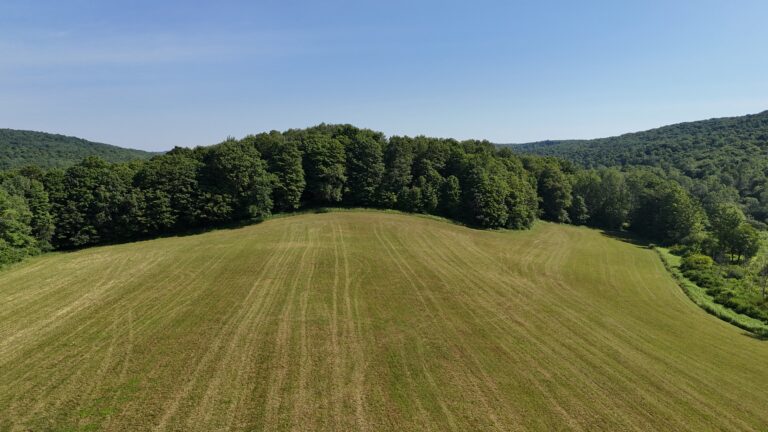 170 acres Farmland and Woods Brookfield NY
