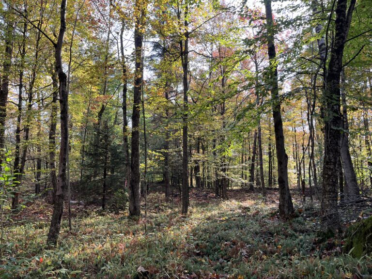 6 acres Recreational 4 Season Land Colton NY