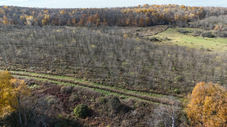 352 acre Riverfront Black Walnut Tree Farm Earlville NY