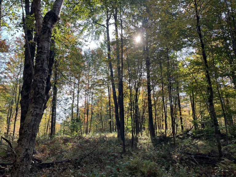 3 acres of Recreational Land with Clearing Colton NY