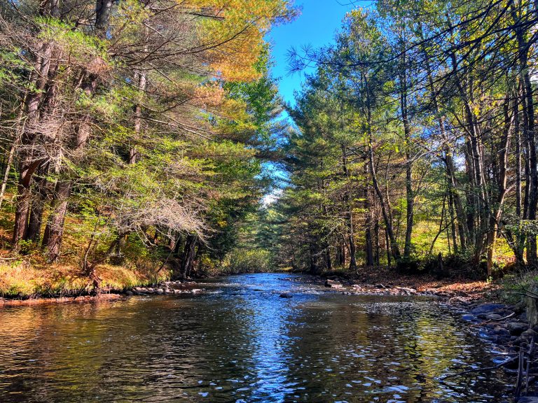114 acres Waterfront Land with Cabin Russell NY