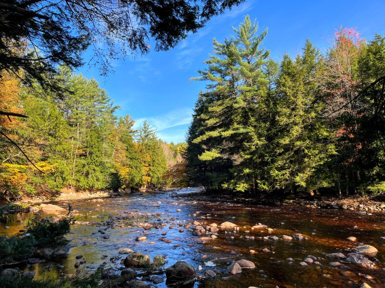 3 acre Adirondack River Building Lot Watson NY