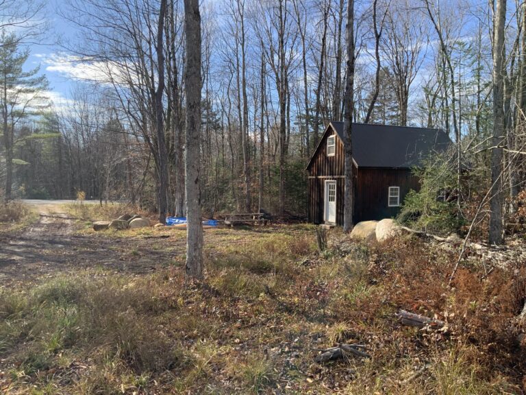 14 acres Adirondack Hunting Land Ephratah NY