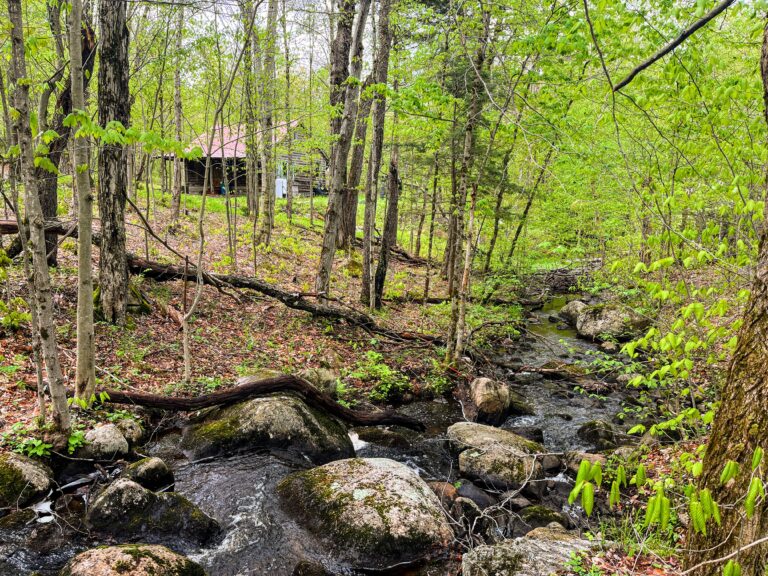 133 acres Adirondack Land with Camp Star Lake NY