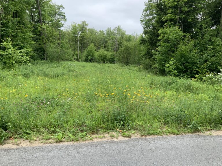 6.7 acres Land Near Salmon River Richland NY