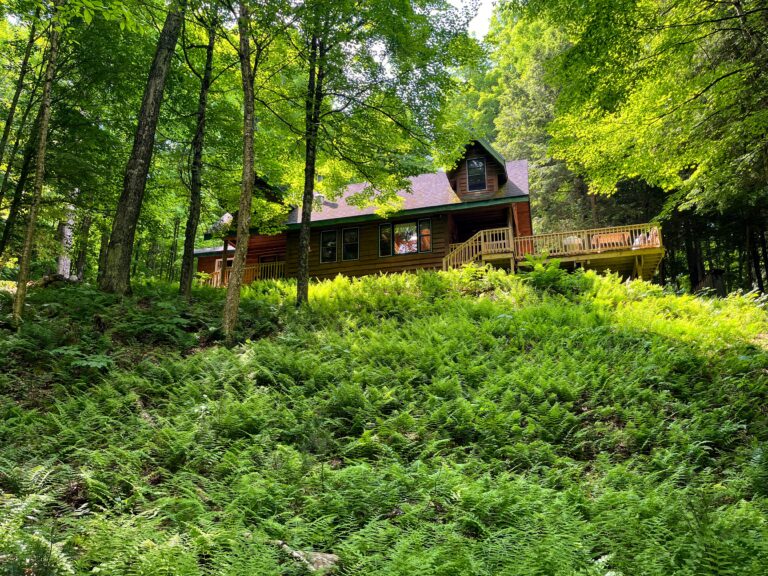 7 acre Riverfront Off Grid Cabin Parishville NY