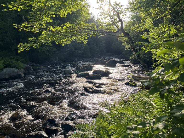 385 acres Waterfront Hunting Land St. Regis Falls NY
