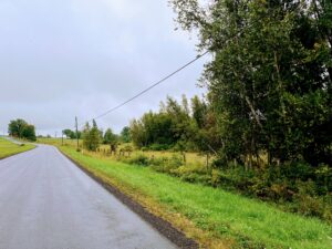 11.98 Acre Building Lot for sale, Potsdam NY!