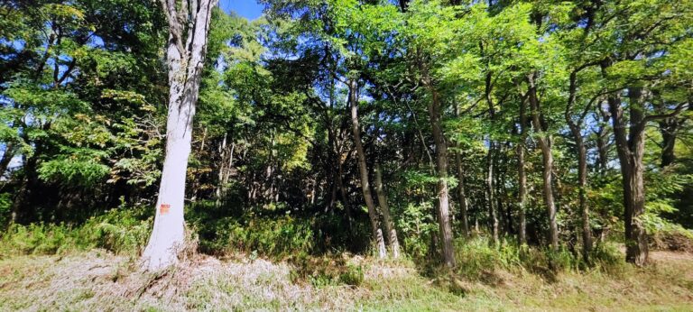 12.6 acre Land for Sale with Power Richland NY