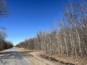 9 acre Wooded County Building Lot Russell NY