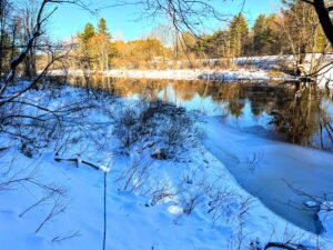20 acre Riverfront Property with Cabins Pitcairn NY