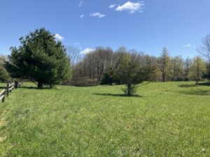 15 acre Creek Front Hunting Land Westdale NY
