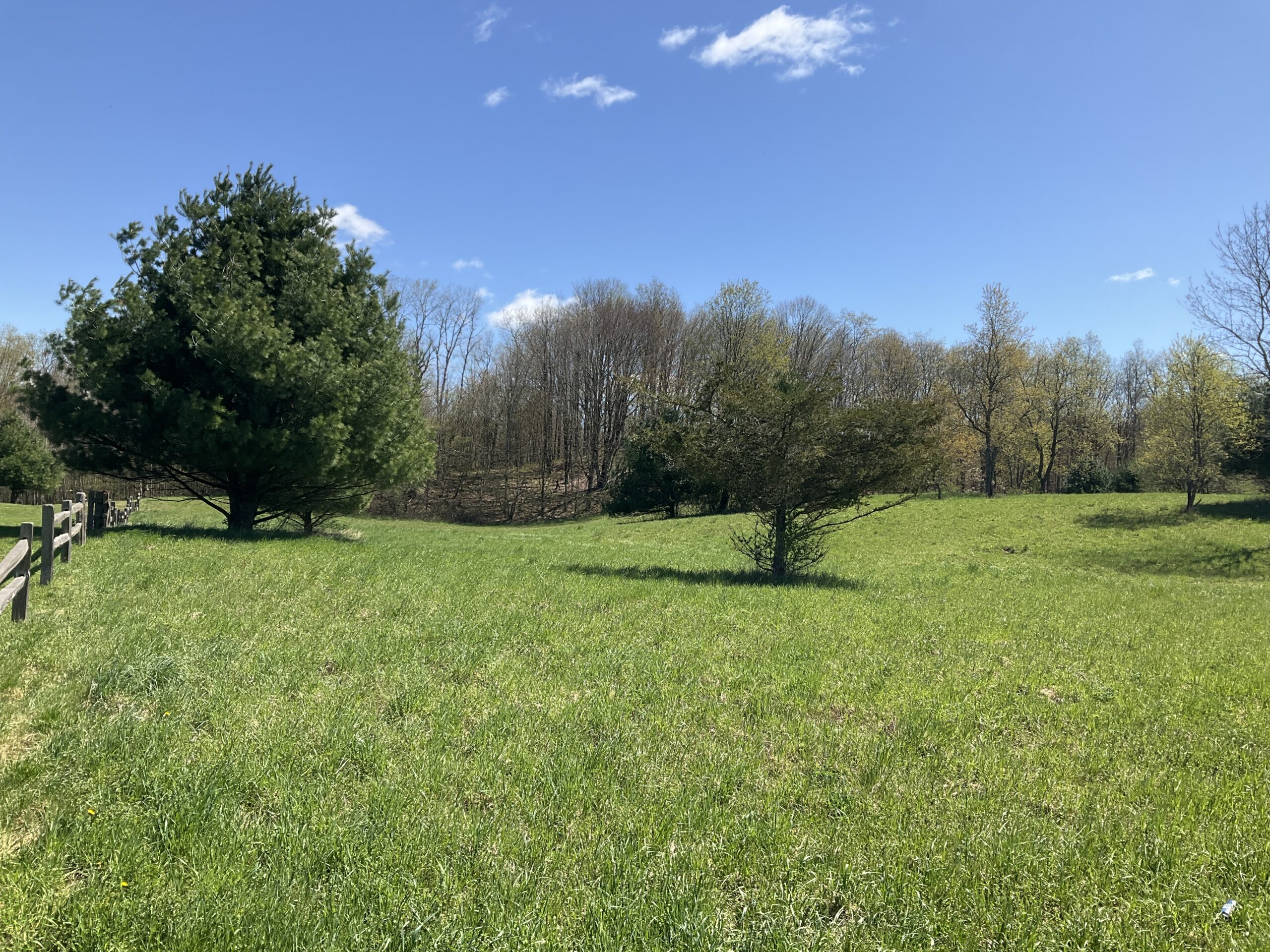 15 acre Creek Front Hunting Land Westdale NY