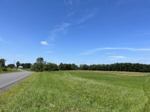 6 acre Surveyed Building Lot Potsdam NY
