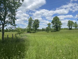 5 acre Building Lot Near Village of Potsdam NY