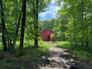24 acre Hunting Land with Trout Brook Lacona NY
