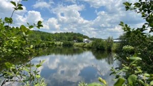 42 acre Riverfront Adirondack Homestead Clare NY