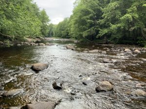 82 acre Adirondack Creek Front Woodlands Stratford NY