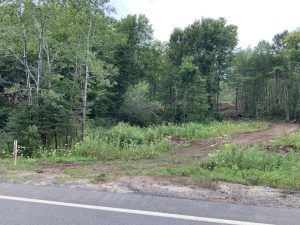 84 acres Adirondack Hunting Land Stratford NY
