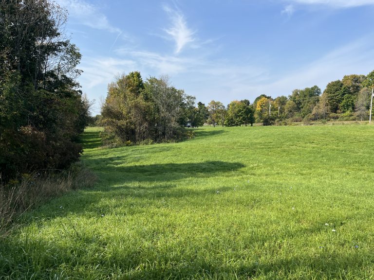 3.49 Recreation Land Near Payne Lake Antwerp NY