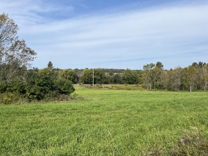 4.46 Recreation Land Near Payne Lake Antwerp NY