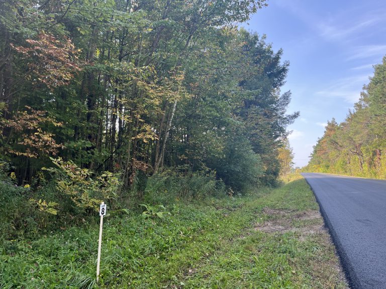 5 acre Wooded Recreational Land Antwerp NY