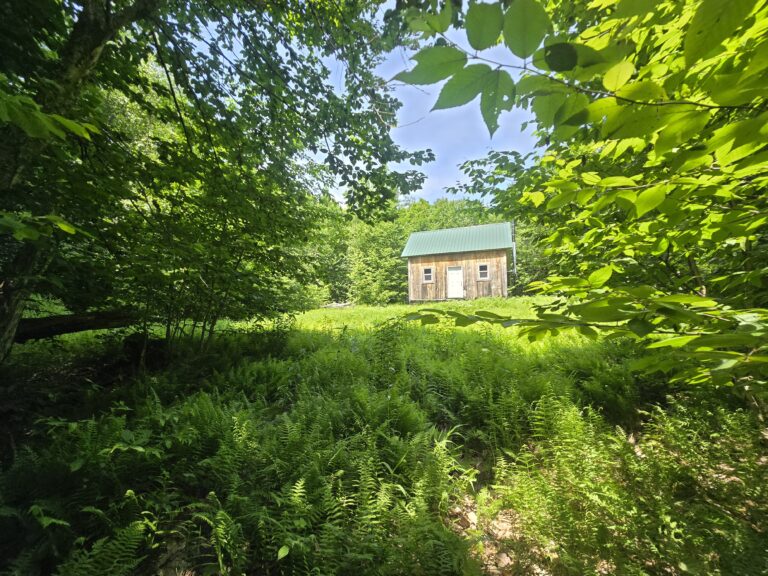 5 acre Hunting Land with Cabin Orwell NY
