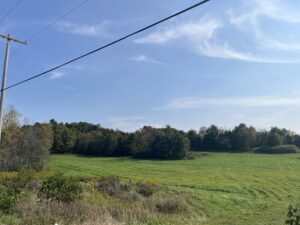 4.4 Recreation Land Near Payne Lake Antwerp NY