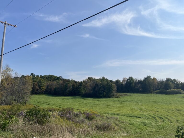 4.4 Recreation Land Near Payne Lake Antwerp NY