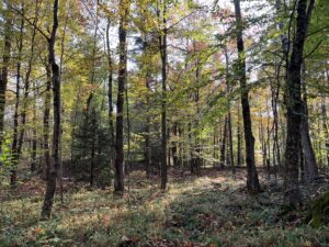 6 acres Recreational 4 Season Land Colton NY