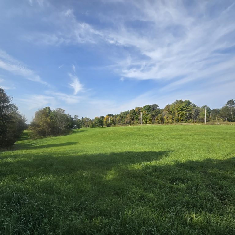 3.5 Recreation Land Near Payne Lake Antwerp NY
