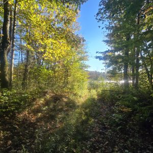 52 acre Hunting Land Bordering WMA Boylston NY