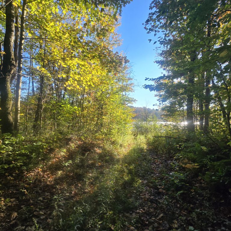 52 acre Hunting Land Bordering WMA Boylston NY