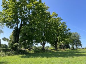 6 acre Surveyed Building Lot Outside Potsdam NY