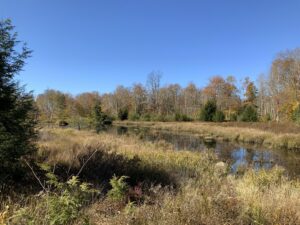 62 acres Adirondack Hunting Land with Shed Stratford NY
