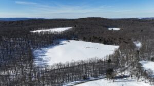 44 acres Land Bordering State Land Marathon NY