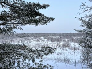 60 acres 4 Season Hunting Land with Power Wilna NY