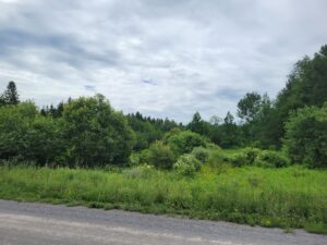 10 acre Northern Recreational Land Watertown NY