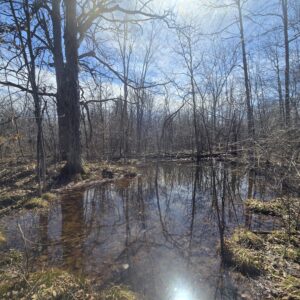 10 acre Building Lot with Power Available Orleans NY
