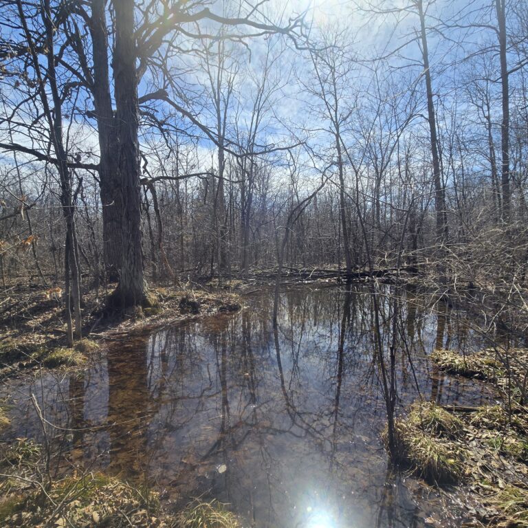 10 acre Building Lot with Power Available Orleans NY