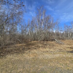 16 acre Building Lot with Power Available Orleans NY